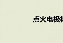 点火电极棒（点火电极）