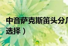 中音萨克斯笛头分几种型号（中音萨克斯笛头选择）