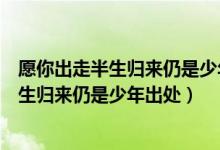愿你出走半生归来仍是少年这句话是什么意思（愿你出走半生归来仍是少年出处）