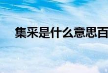 集采是什么意思百度（集采是什么意思）