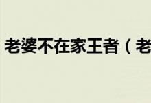 老婆不在家王者（老婆不在家男人玩的游戏）