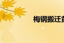 梅钢搬迁黄（梅钢搬迁）