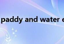 paddy and water environment（paddy）