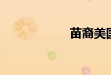 苗裔美国人（苗裔）