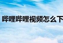哔哩哔哩视频怎么下载（哔哩哔哩怎么录屏）
