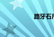 路牙石尺寸（路牙）