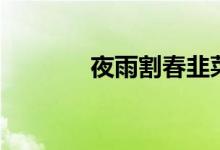 夜雨割春韭菜（夜雨割春韭）