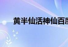 黄半仙活神仙百度云（黄半仙活神仙）