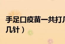 手足口疫苗一共打几针啊（手足口疫苗一共打几针）