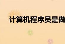 计算机程序员是做什么的（计算机程序）