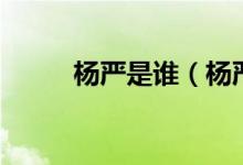 杨严是谁(杨严社会姐打架视频)