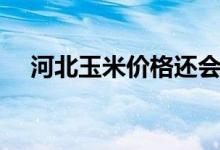 河北玉米价格还会涨（玉米价格还会涨）