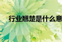 行业翘楚是什么意思（行业是什么意思）