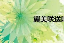翼美咲送啤酒(翼美咲)