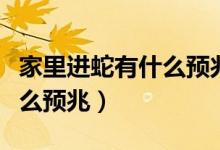 家里进蛇有什么预兆粉红色的（家里进蛇有什么预兆）