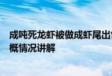 成吨死龙虾被做成虾尾出售：你还敢吃来路不明虾尾吗？大概情况讲解