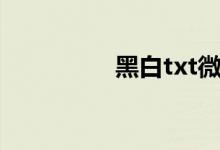 黑白txt微盘（黑白txt）