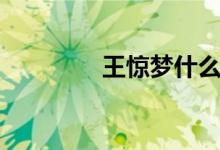 王惊梦什么境界（王惊梦）