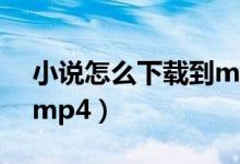 小说怎么下载到mp4里面（小说怎么下载到mp4）