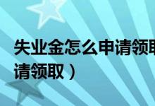 失业金怎么申请领取微信流程（失业金怎么申请领取）
