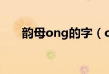 韵母ong的字（ong的押韵字和词语）