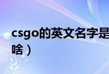 csgo的英文名字是啥啊（csgo的英文名字是啥）