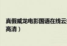 真假威龙电影国语在线云播放（机boy小子之真假威龙国语高清）