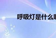 呼吸灯是什么啊(呼吸灯是什么)