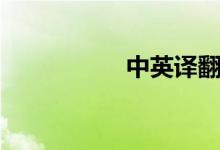 中英译翻译(中英译)