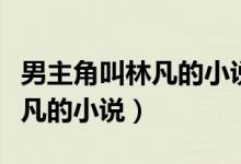 男主角叫林凡的小说叫什么名字(男主角叫林凡的小说)