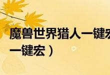 魔兽世界猎人一键宏怎么设置（魔兽世界猎人一键宏）