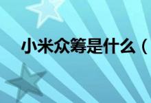 小米众筹是什么（小米众筹是什么意思）