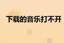 下载的音乐打不开（sterm下载后打不开）