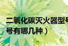 二氧化碳灭火器型号规格（二氧化碳灭火器型号有哪几种）