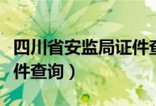 四川省安监局证件查询网址（山东省安监局证件查询）