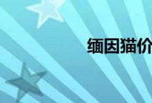 缅因猫价格（猫价格）