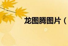 龙图腾图片（龙图腾女孩是谁）