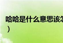 哈哈是什么意思该怎么接话（哈哈是什么意思）