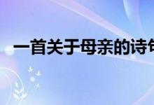 一首关于母亲的诗句（一首关于母亲的诗）