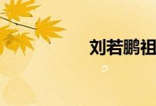 刘若鹏祖籍（刘若鹏）