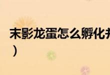 末影龙蛋怎么孵化并驯服（末影龙蛋怎么孵化）