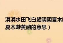 漠漠水田飞白鹭阴阴夏木啭黄鹂画面（漠漠水田飞白鹭阴阴夏木啭黄鹂的意思）