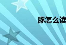 豚怎么读（眦怎么读）