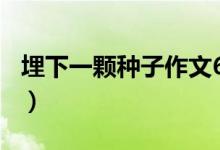 埋下一颗种子作文600（就这样埋下种子作文）