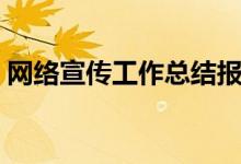 网络宣传工作总结报告（网络宣传工作总结）