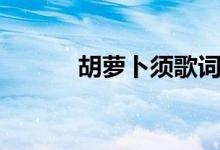 胡萝卜须歌词解析（胡萝卜须）