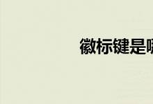 徽标键是哪个（徽标键）