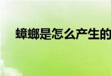 蟑螂是怎么产生的（雷声是怎么产生的）