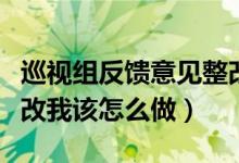 巡视组反馈意见整改报告（巡视组反馈意见整改我该怎么做）