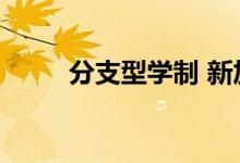 分支型学制 新加坡（分支型学制）